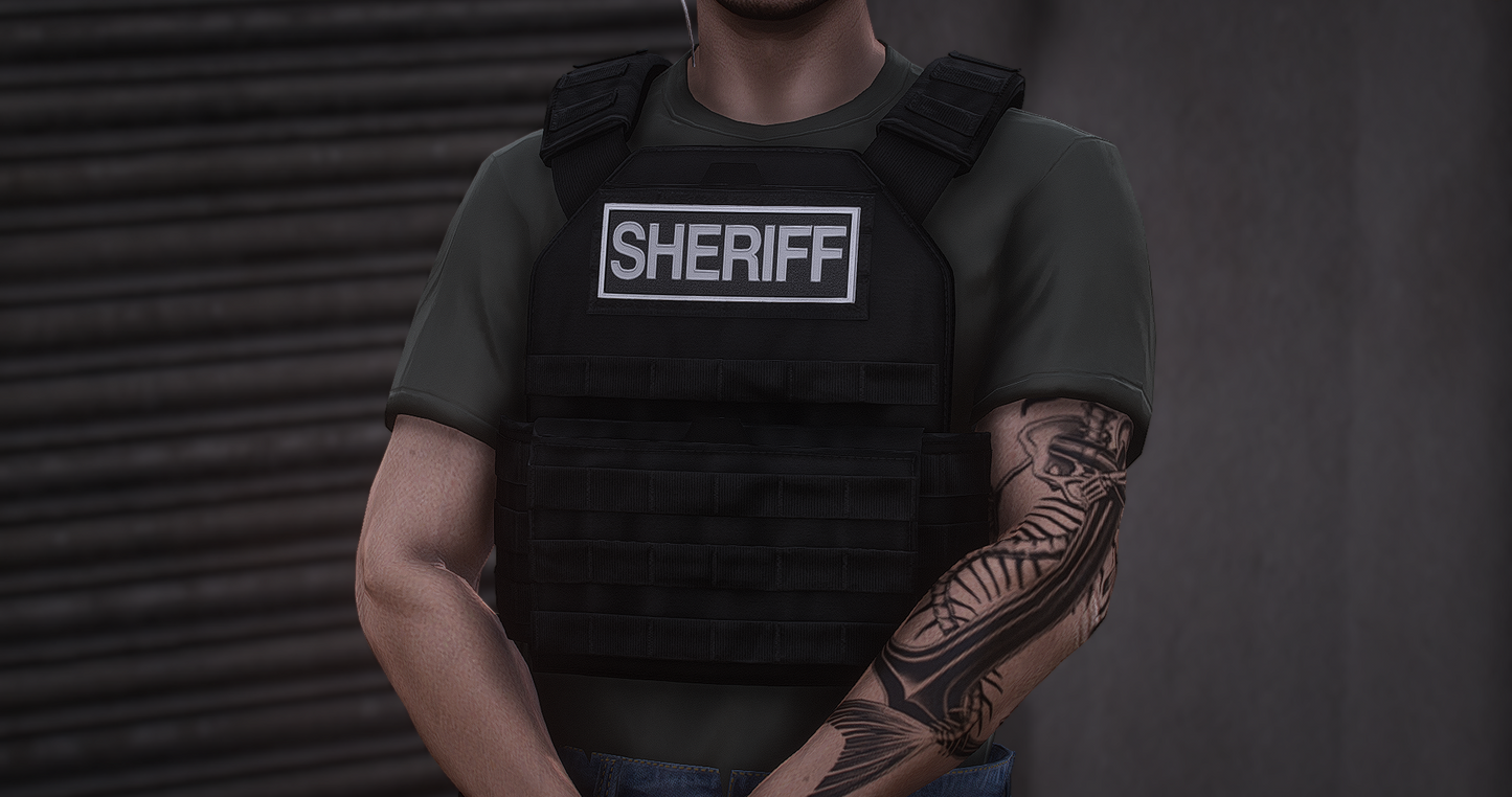 POLICE PLATE CARRIER