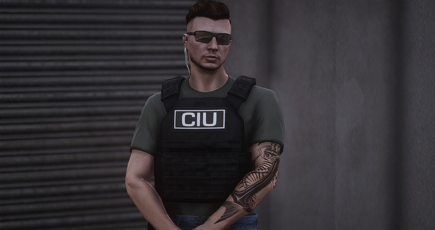 POLICE PLATE CARRIER