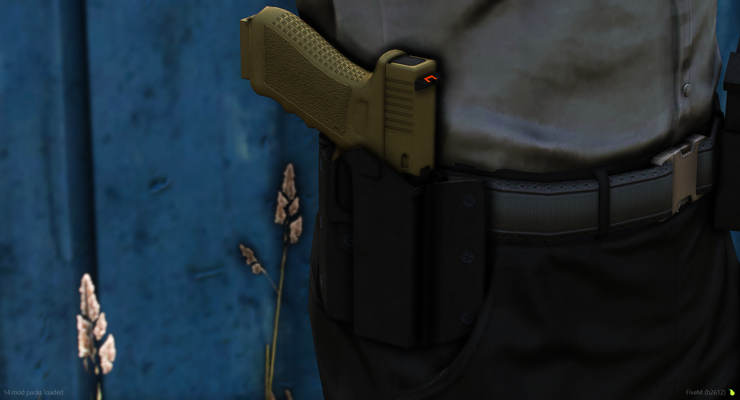 Detective Style Holster & Double Mag Holder