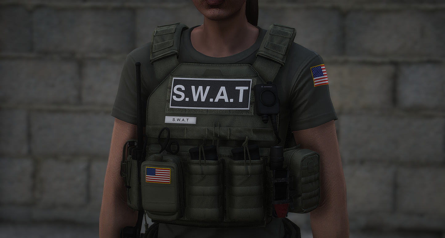 POLICE PLATE CARRIER