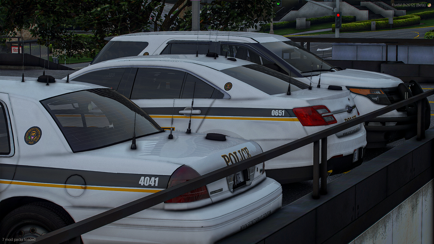 SECRET SERVICE LIVERY PACKAGE