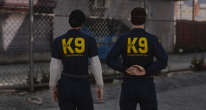 FIB / FBI EUP PACKAGE REMASTER