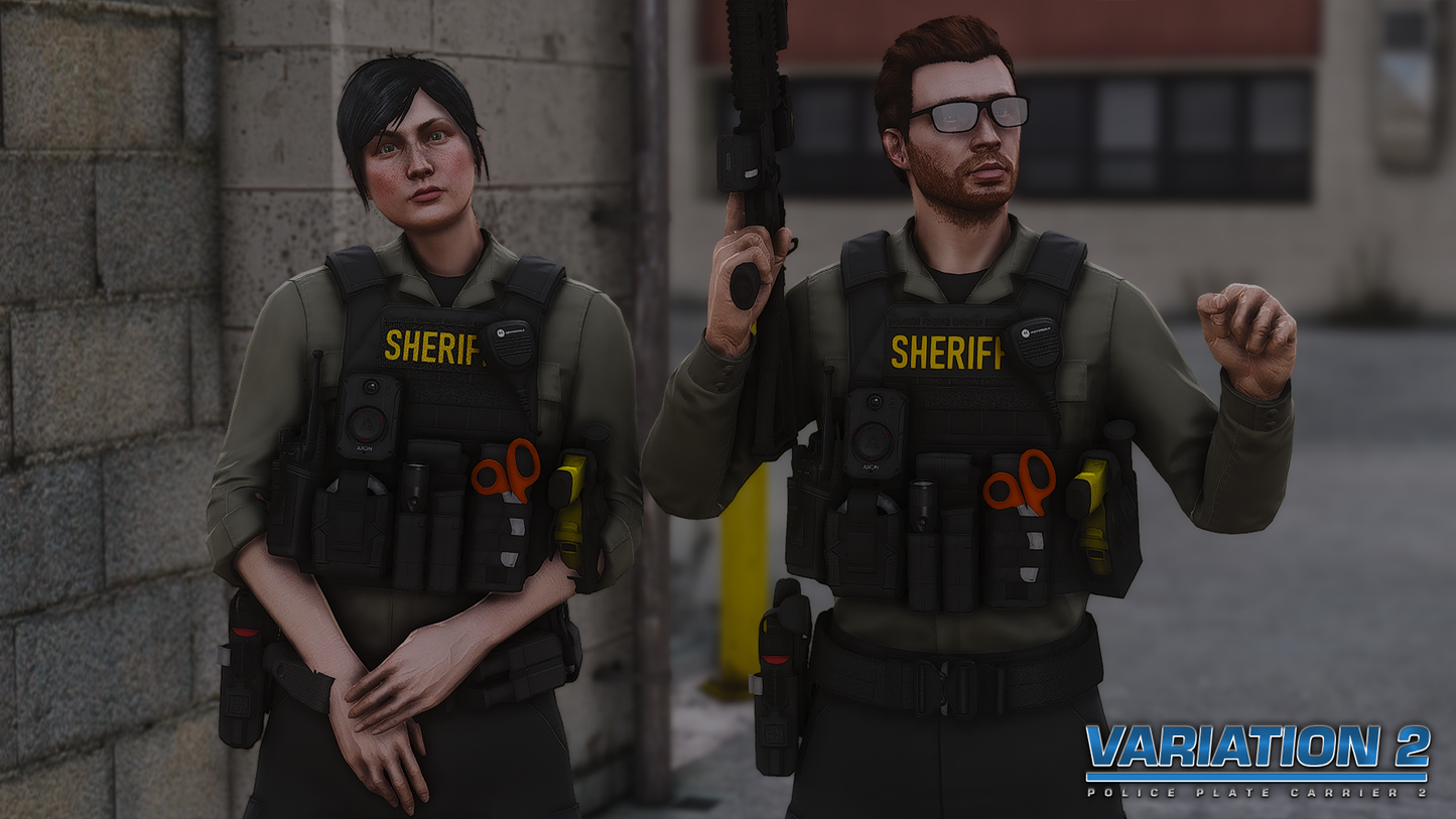 POLICE PLATE CARRIER 2
