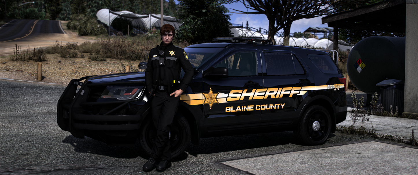 Blaine County Sheriff Livery Package