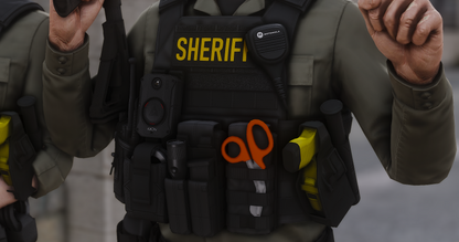 POLICE PLATE CARRIER 2