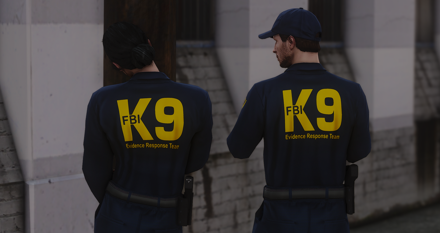 FIB / FBI EUP PACKAGE REMASTER