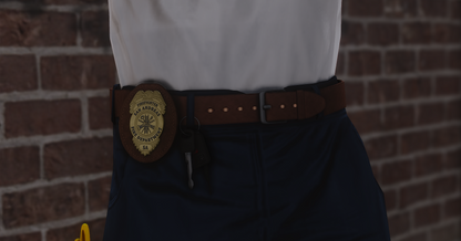 FIRE / EMS CARGO PANTS