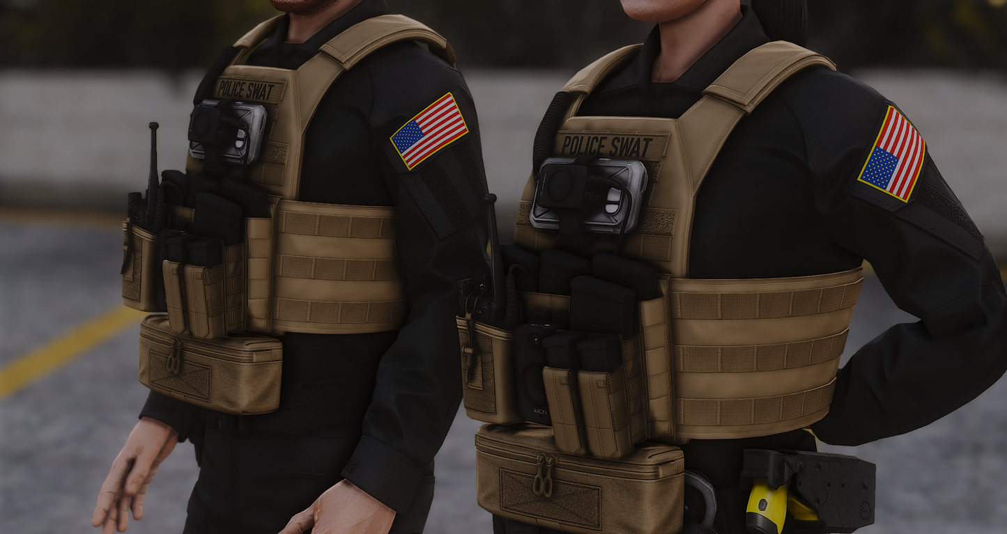 POLICE PLATE CARRIER 2