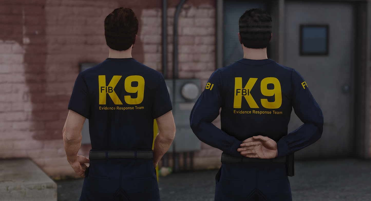 FIB / FBI EUP PACKAGE REMASTER