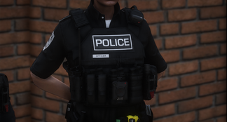 POLICE PLATE CARRIER – BlazeModifications