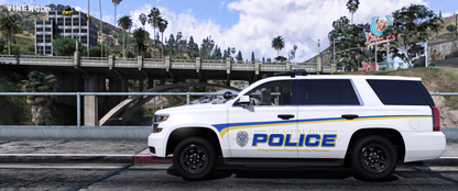 Mini LSPD Livery Package