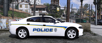 Mini LSPD Livery Package