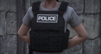 POLICE PLATE CARRIER