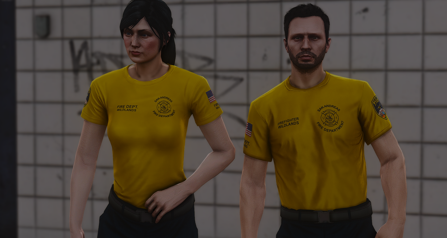 SAFR EUP PACKAGE REMASTER