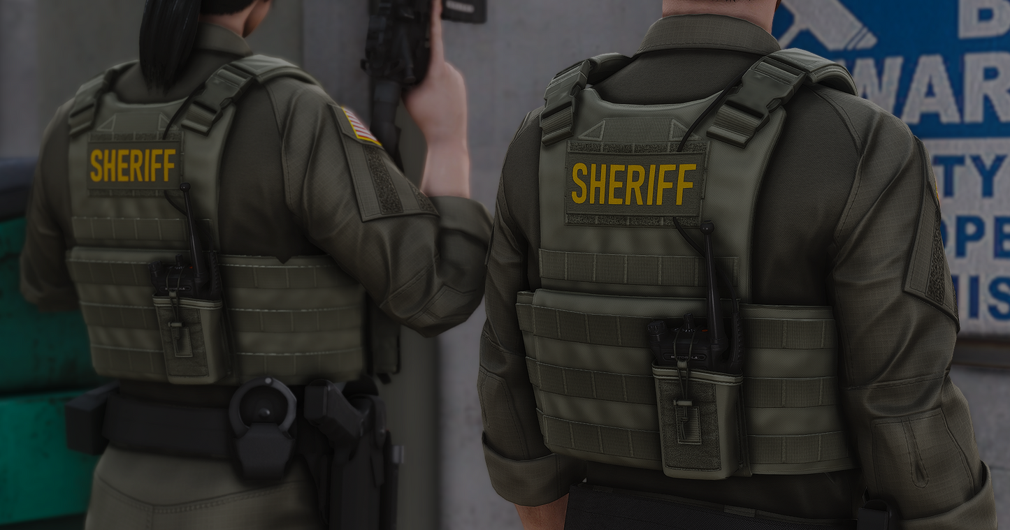 POLICE PLATE CARRIER 2