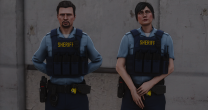 POLICE PLATE CARRIER 2