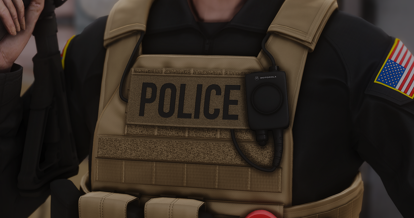 POLICE PLATE CARRIER 2