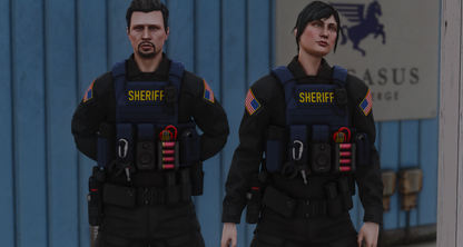 POLICE PLATE CARRIER 2