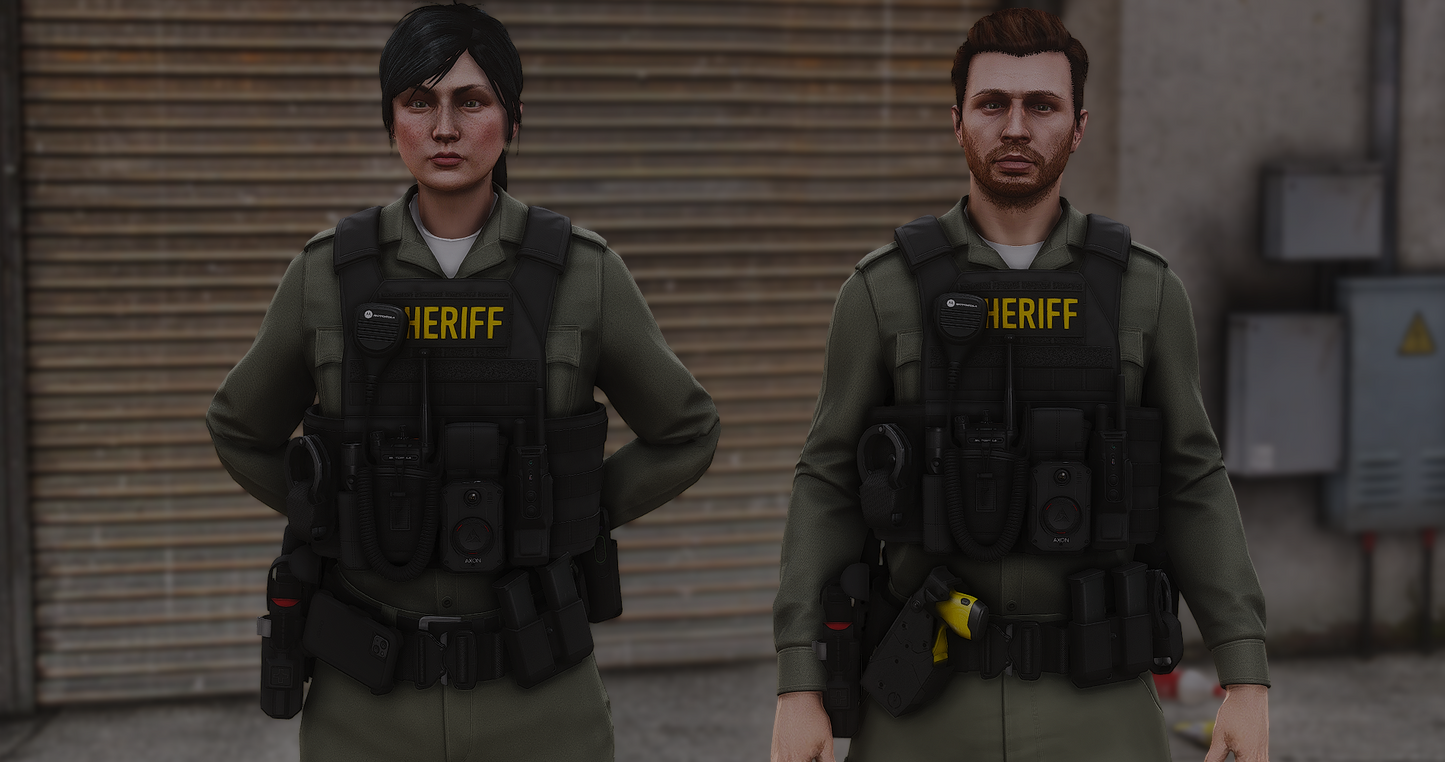 POLICE PLATE CARRIER 2