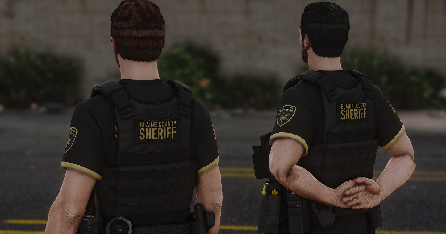 POLICE PLATE CARRIER 2