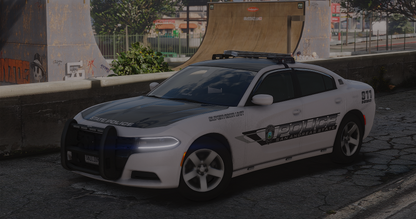 SASP LIVERY PACKAGE REMASTERED