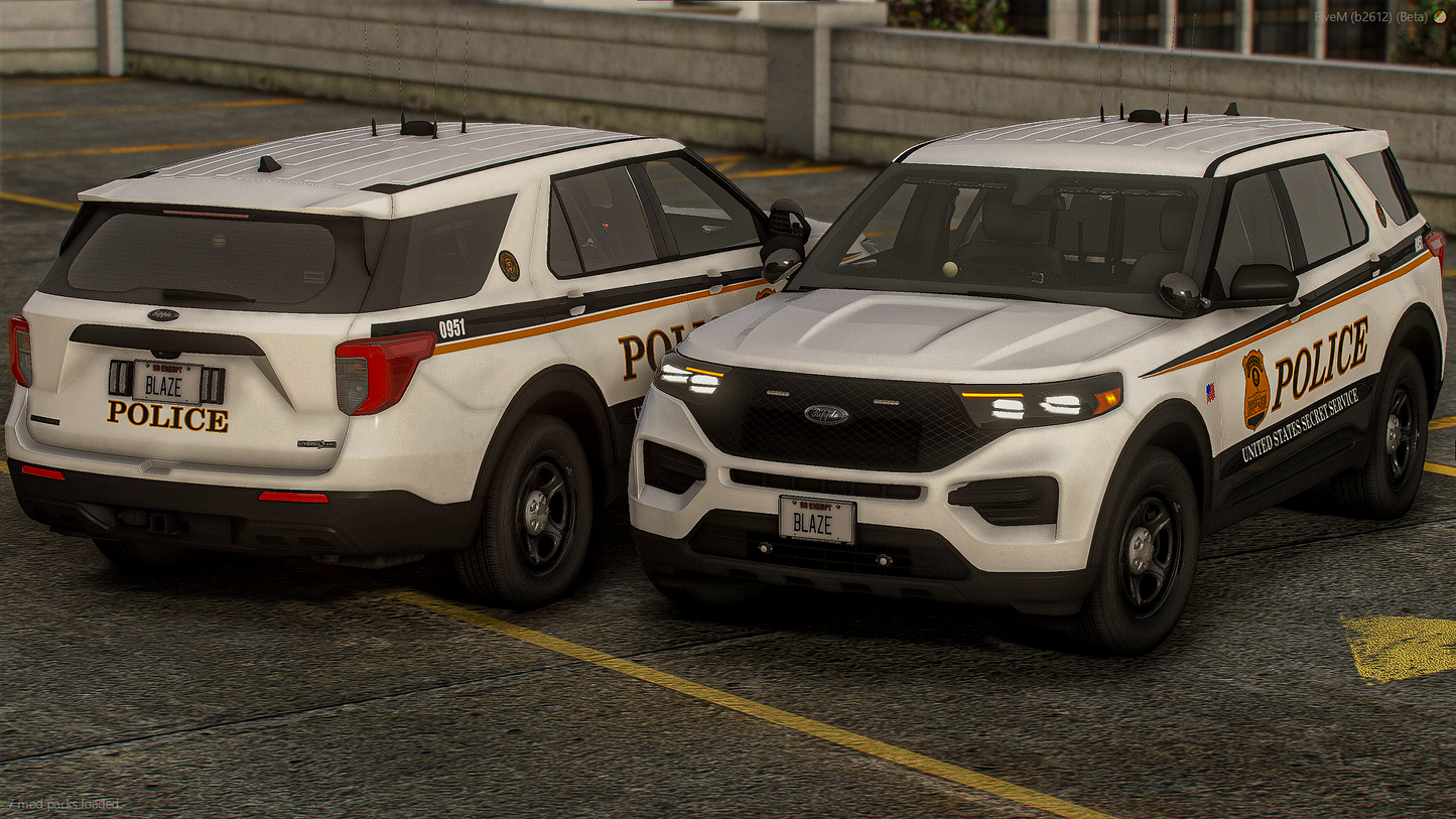 SECRET SERVICE LIVERY PACKAGE