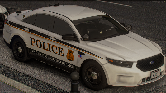 SECRET SERVICE LIVERY PACKAGE