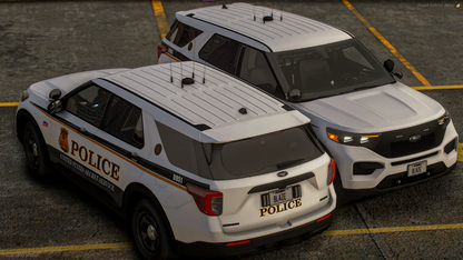 SECRET SERVICE LIVERY PACKAGE